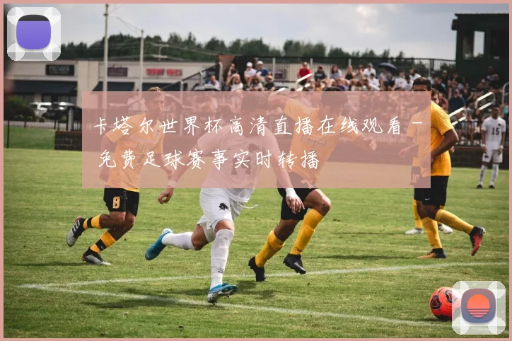 卡塔尔世界杯高清直播在线观看 - 免费足球赛事实时转播